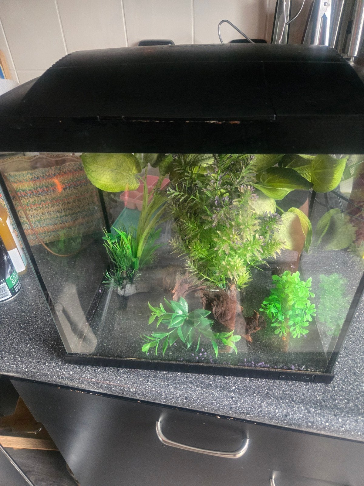 Aquarium, Ophalen of Verzenden, Leeg aquarium