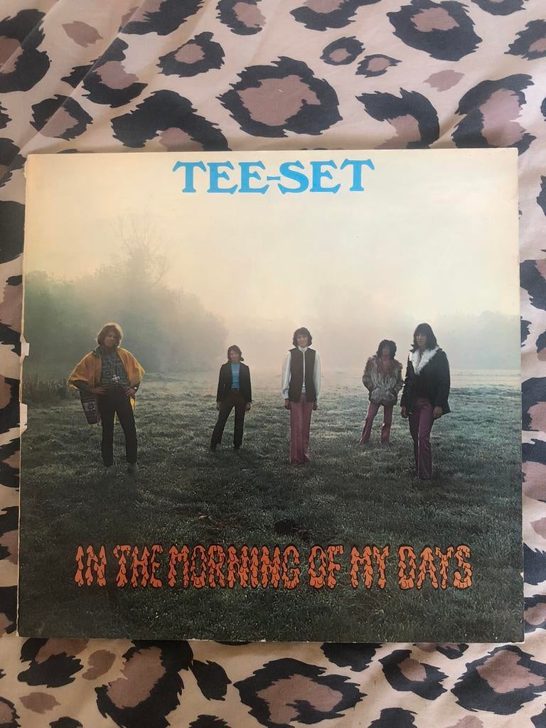 Tee - Set  / In the morning of my days (1970), Ophalen, Gebruikt, 1970 - 1979, 12 inch