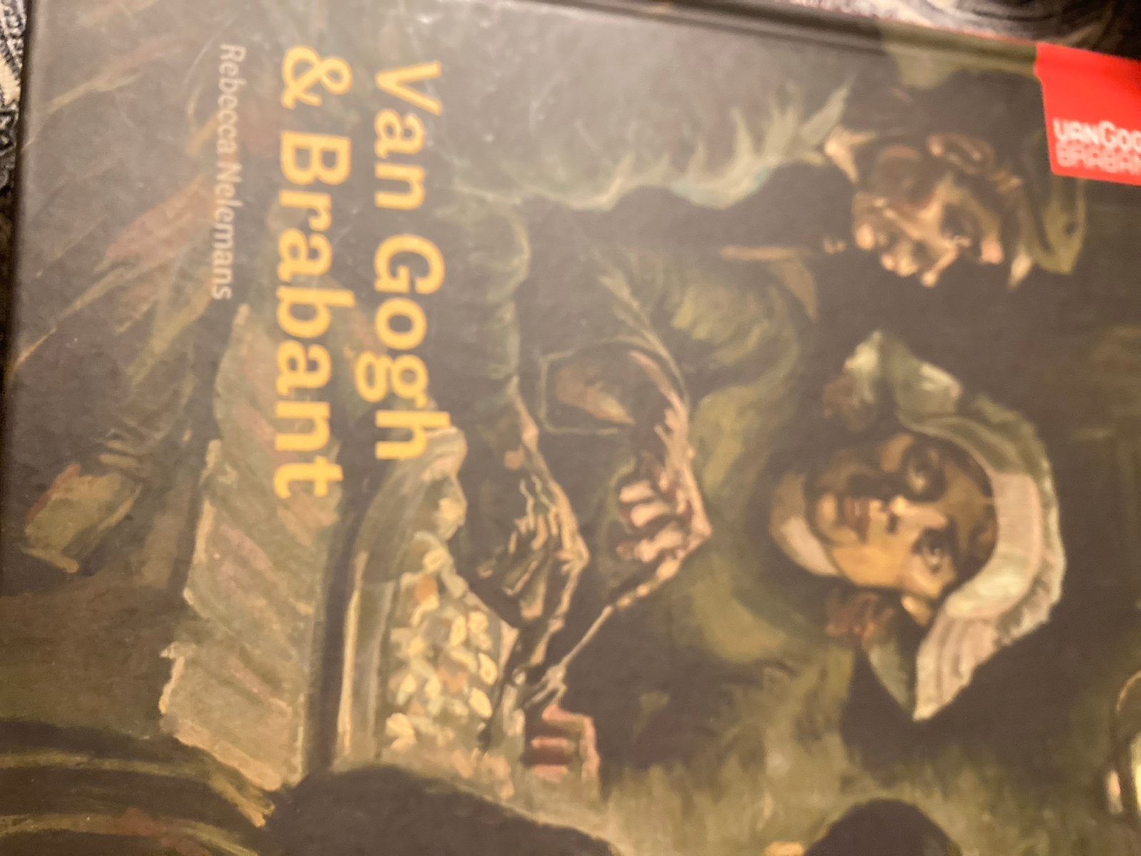 Van Gogh & Brabant - Rebecca Nelemans (Boek), Ophalen of Verzenden, Zo goed als nieuw, Schilder- en Tekenkunst