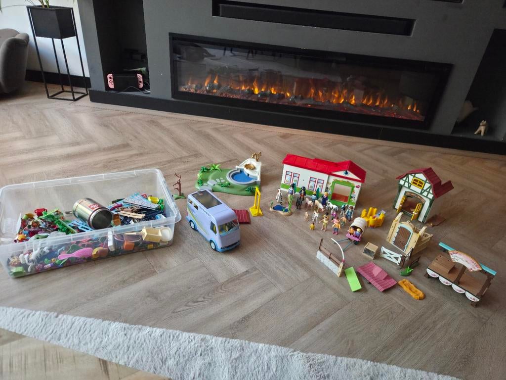 Grote doos vol Playmobil voor urenlang speelplezier, Kinderen en Baby's, Speelgoed | Playmobil, Ophalen of Verzenden
