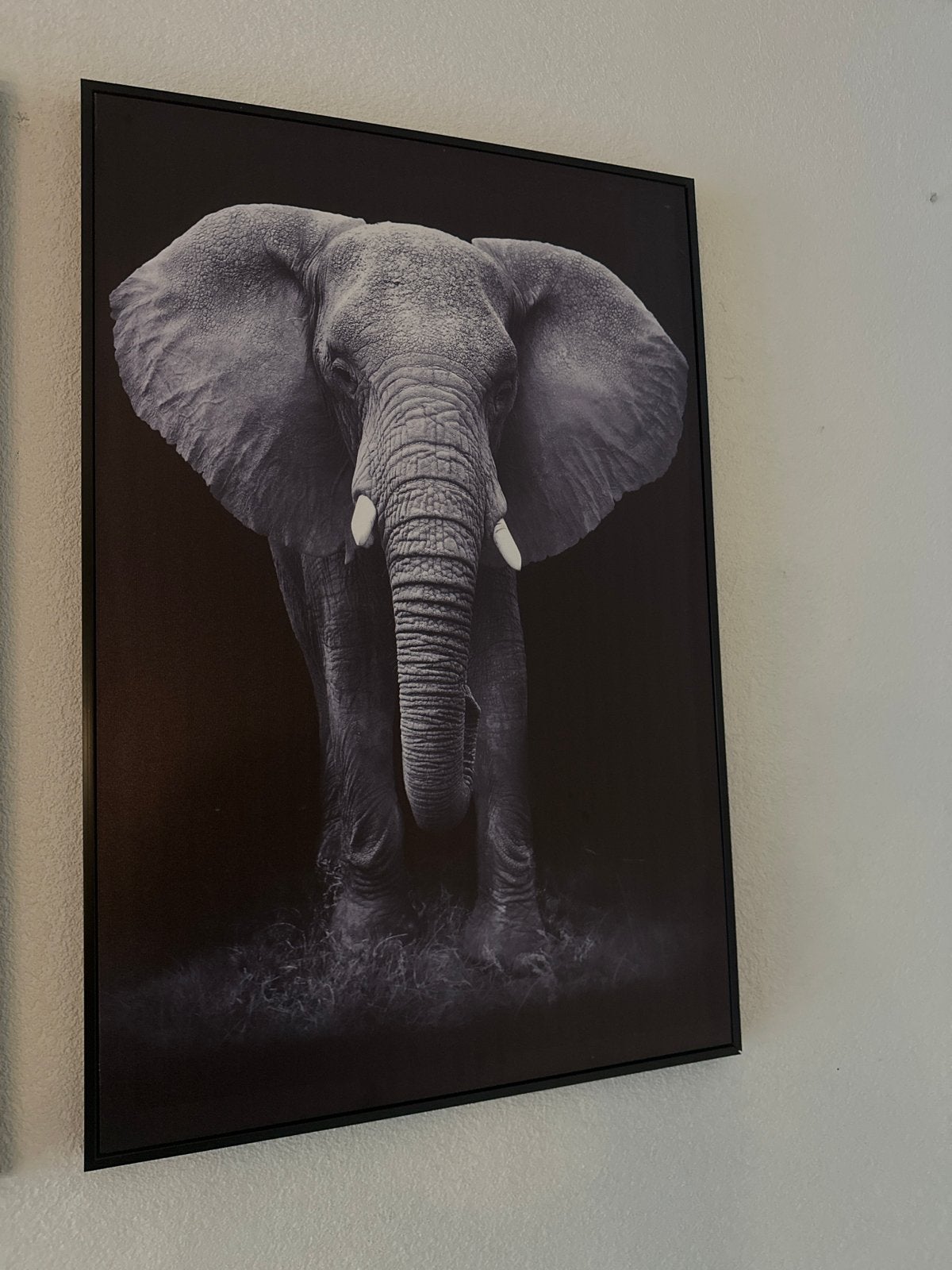 Prachtige olifant canvas schilderij - 90x60cm, Ophalen, Gebruikt, Schilderij, 75 cm of meer