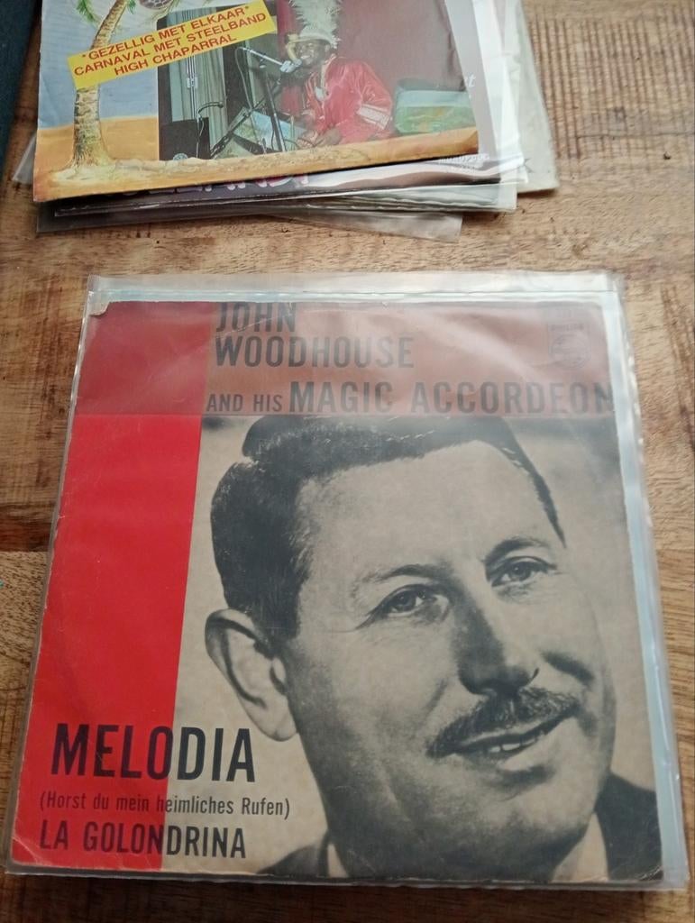 John woodhouse - melidia, Cd's en Dvd's, Vinyl Singles, Ophalen of Verzenden, Zo goed als nieuw, Nederlandstalig