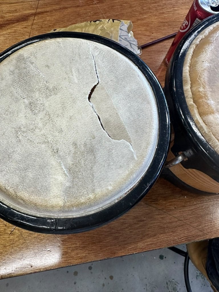 bongo, Ophalen, Gebruikt, Trommel