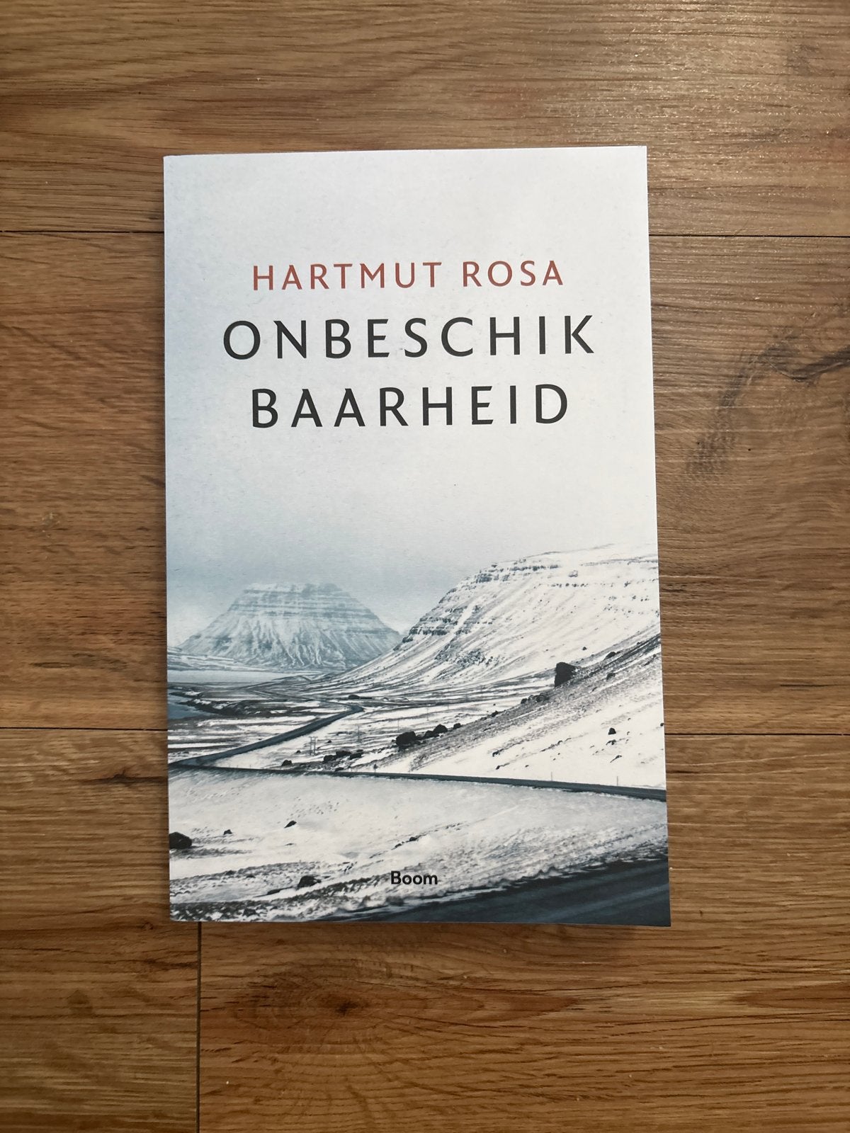 Hartmut Rosa - Onbeschikbaarheid (Sociologie), Ophalen of Verzenden, Zo goed als nieuw, Europa overig