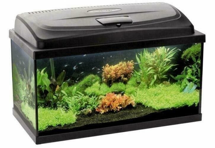 Classic aquarium 60, 80, 100,120 en 150 cm breed, incl.  led, Dieren en Toebehoren, Ophalen of Verzenden, Nieuw, Leeg aquarium