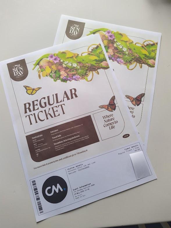 2 Tickets Desperado's festival €75, Tickets en Kaartjes, Twee personen