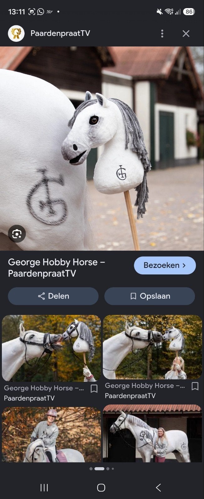 Gezocht George Hobby Horse - PaardenpraatTV, Ophalen of Verzenden, Zo goed als nieuw, Jongen of Meisje