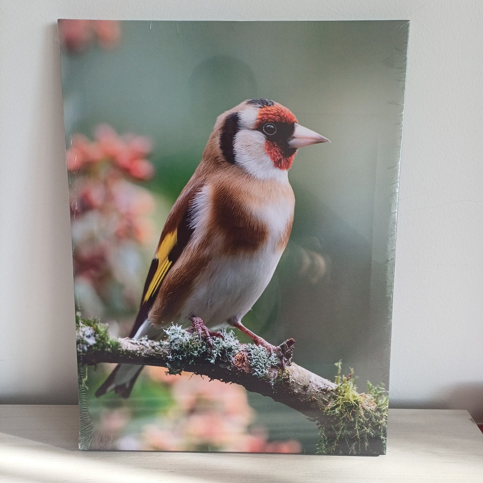 Canvas Putter Distelvink - Prachtige Vogelkunst, Dieren en Toebehoren, Mannelijk