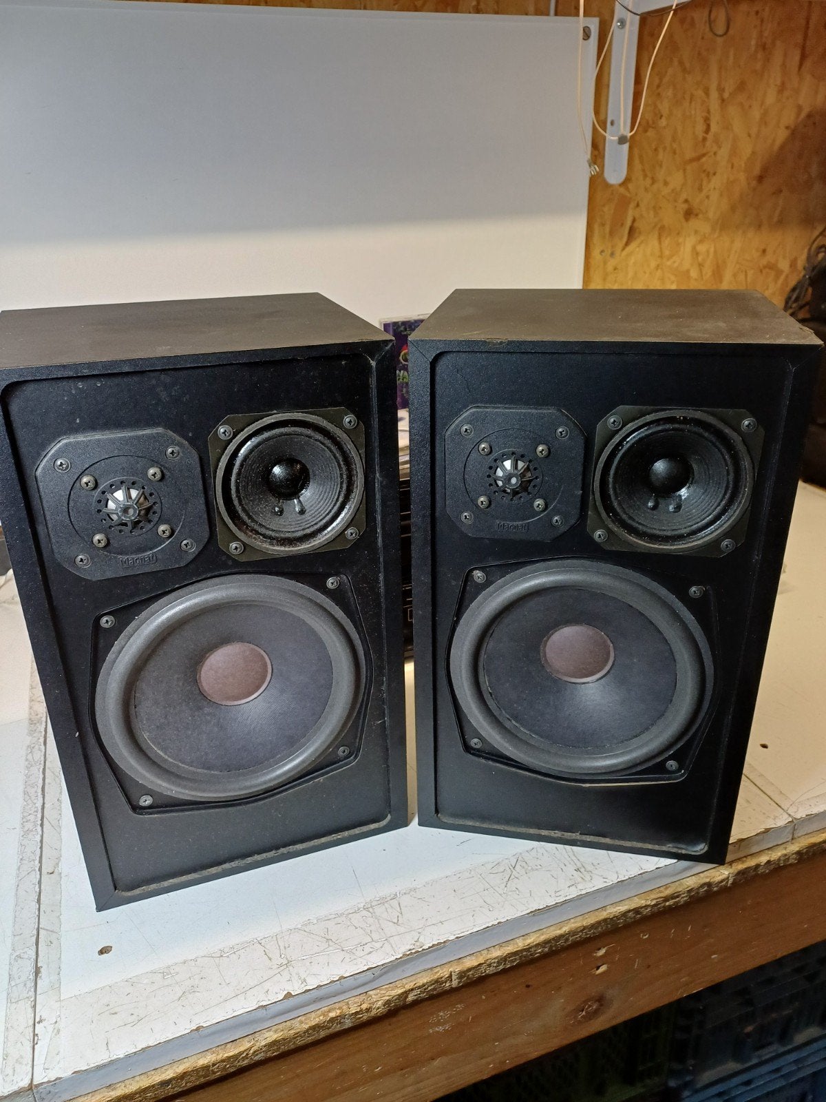 Magnat Monitor B speakers - 3-weg systeem, gerefoamd, Stereo speakers, Magnat, Refurbished, Ophalen of Verzenden
