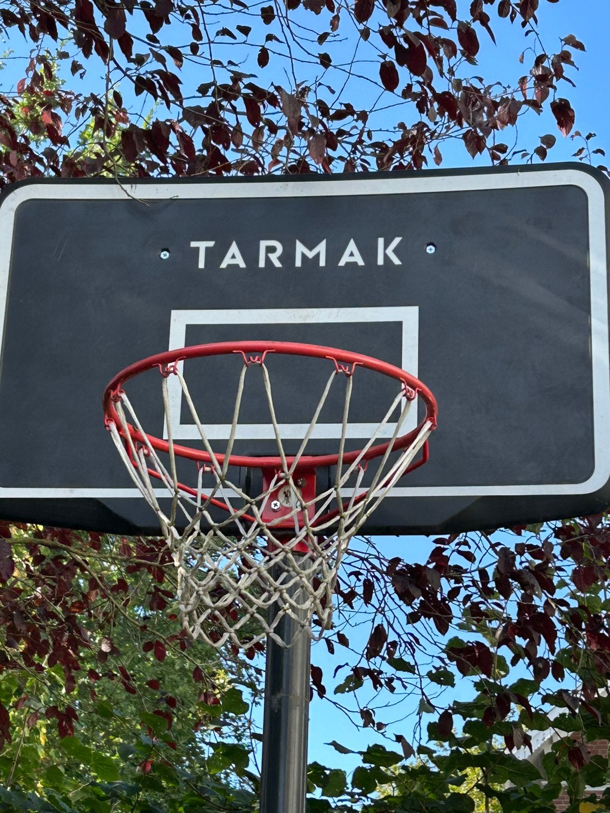 Basketbal korf op voet, Ophalen, Gebruikt, Bal