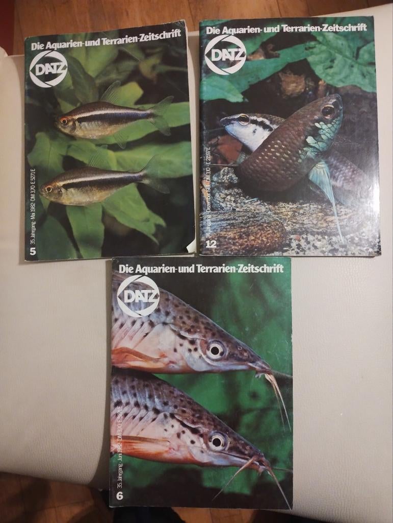 DATZ Aquarien- en Terrarien-Zeitschrift - 3 nummers, Ophalen of Verzenden, Gelezen, Vissen