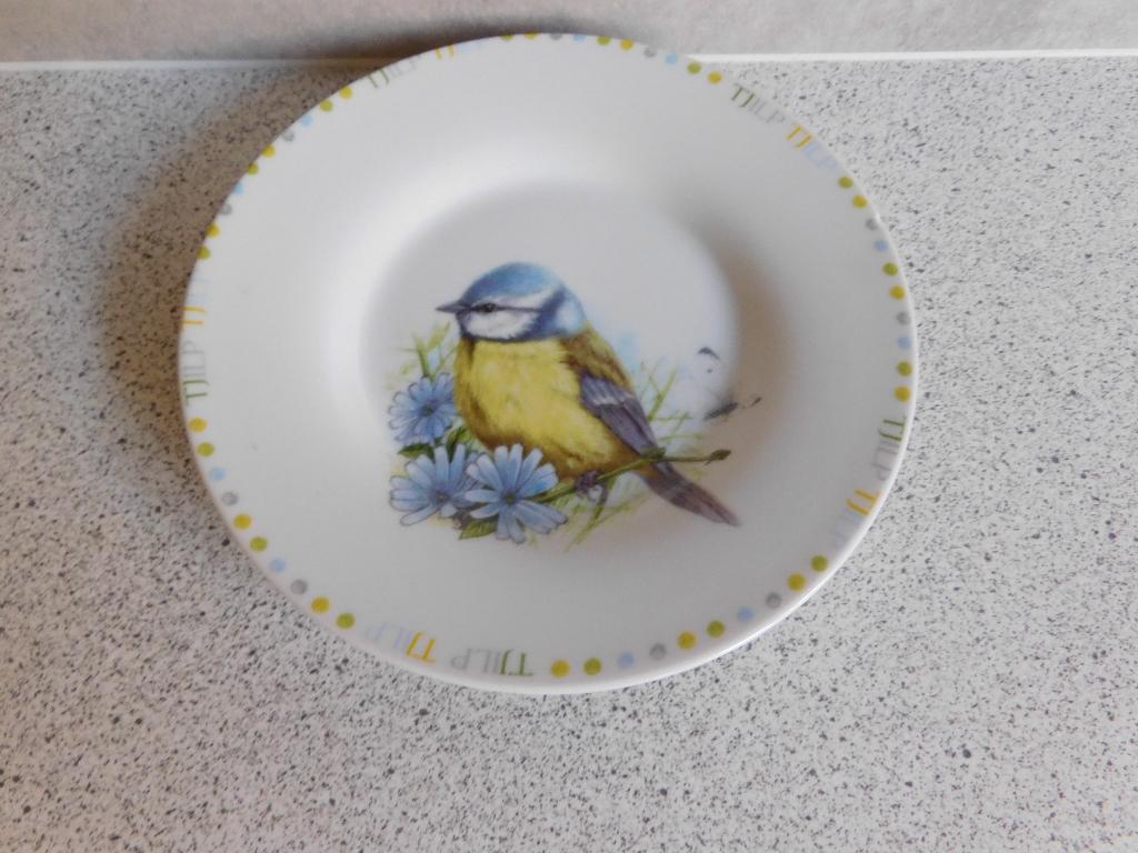 Bord 17 cm. Tjilp Tjilp Pimpelmees THEO, Huis en Inrichting, Ophalen of Verzenden, Zo goed als nieuw, Bord(en), Overige stijlen