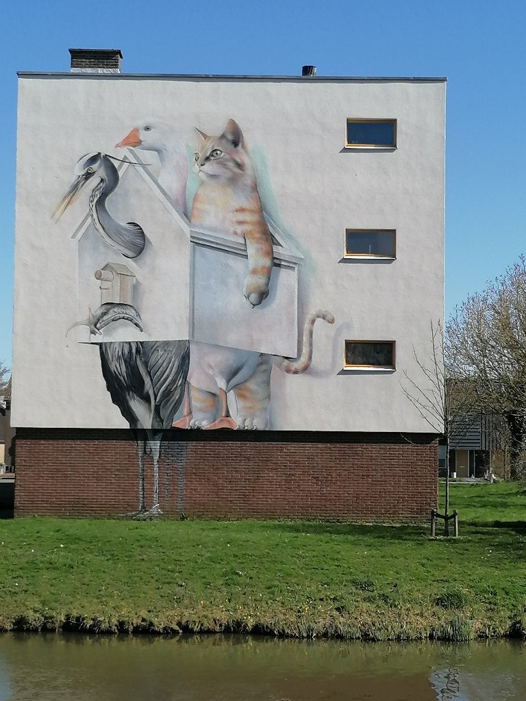 Gezocht, eerlijke spontane zeeuwse of West Brabantse man