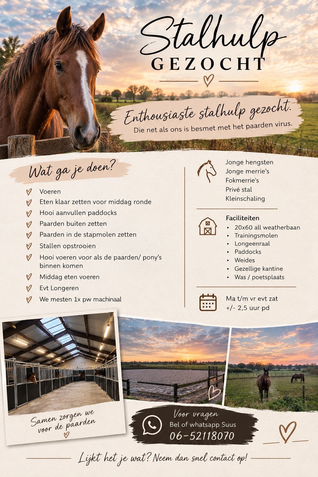 Enthousiaste stalhulp gezocht, Ruiter of Bijrijder