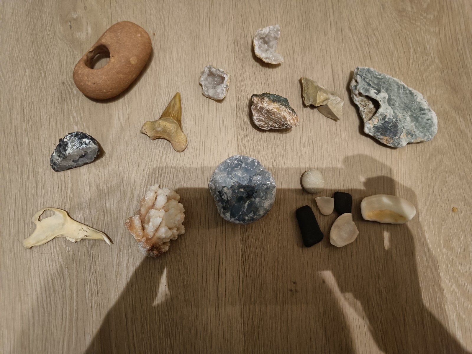 Verzameling van fossielen, mineralen en schelpen, Ophalen of Verzenden
