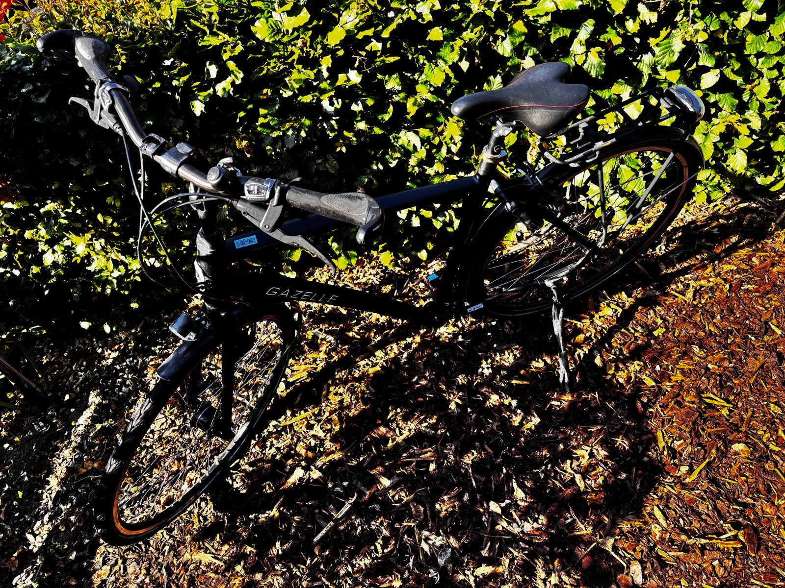 Gazelle Chamonix Sportive zwart - Opknapper, Ophalen, Gebruikt, Gazelle