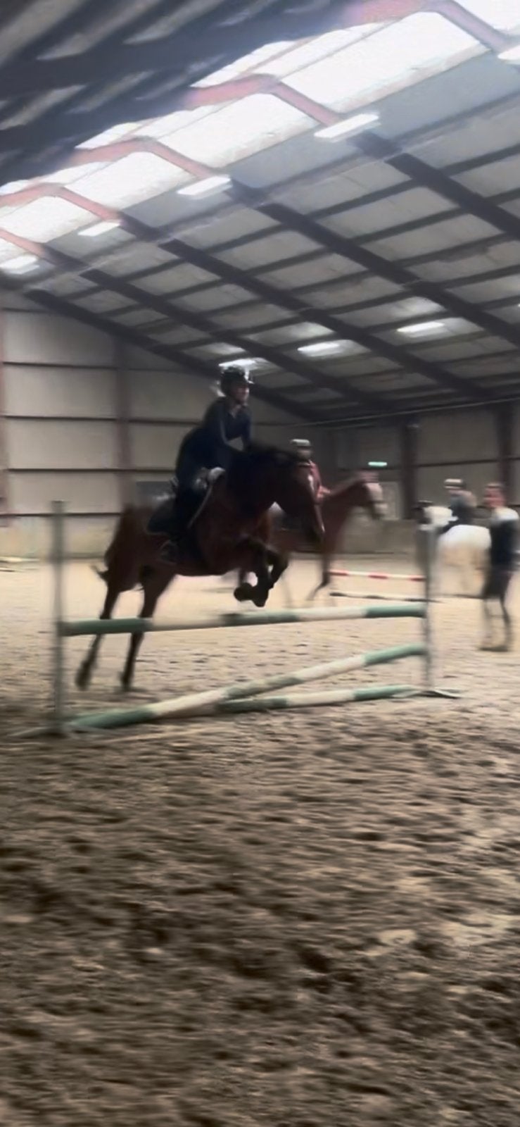 Bijrijder aangeboden/verzorgpony/paard gezocht, Dieren en Toebehoren, Paarden en Pony's | Overige Paardenspullen, Ophalen, Zo goed als nieuw