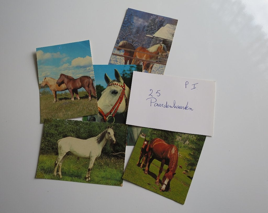 Paarden kaarten (Partij 1) Set van 25 stuks, Verzamelen, Ophalen, 1980 tot heden, Gelopen, Paard