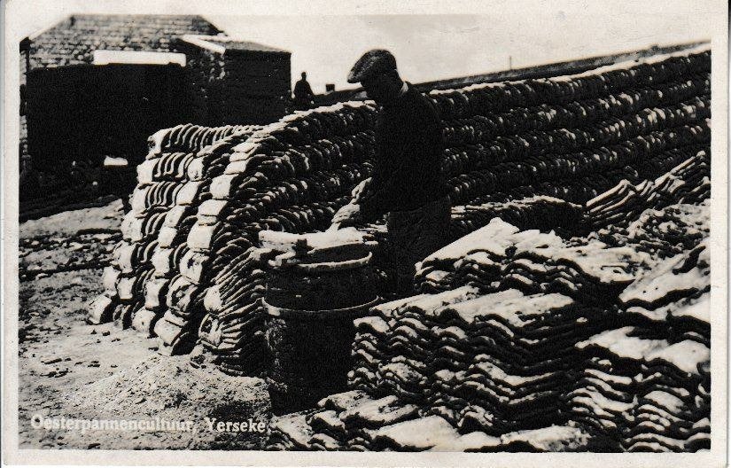 YERSEKE - OESTERPANNENCULTUUR, Ophalen of Verzenden, Ongelopen, Zeeland