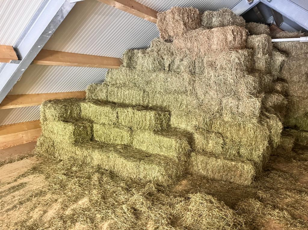 Hooi te koop, Ophalen, Vee