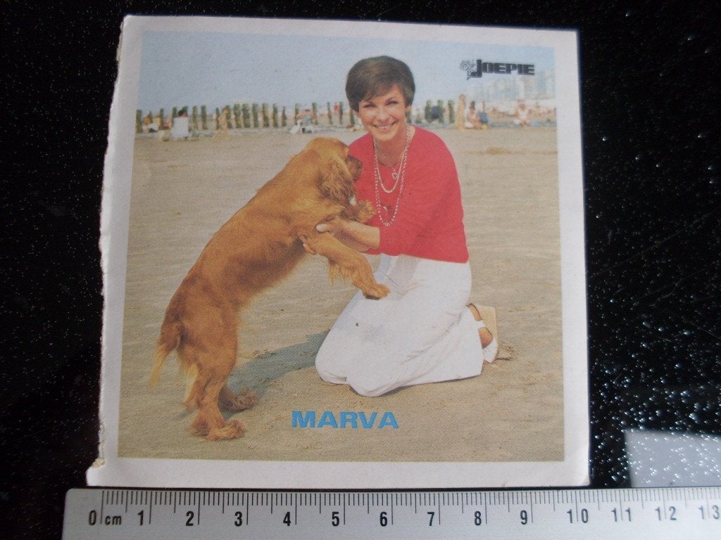 sticker Marva Joepie, Verzamelen, Verzenden, Zo goed als nieuw, Film, Tv of Omroep