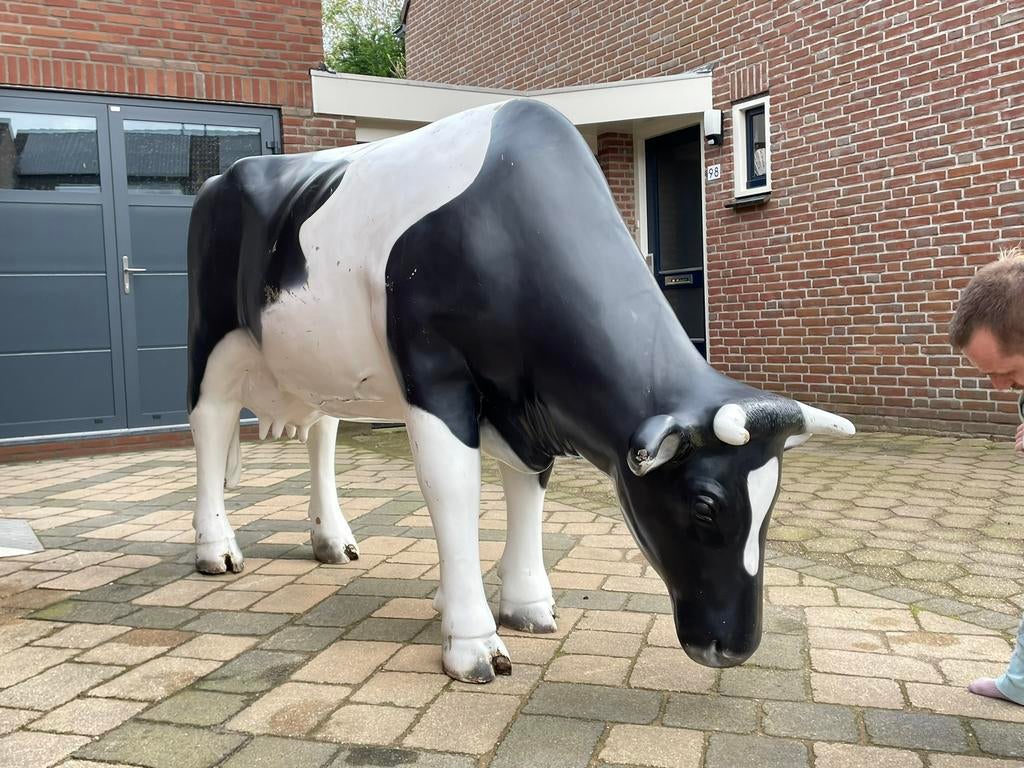 Leuk tuinbeeld polyester koe, Ophalen, Gebruikt