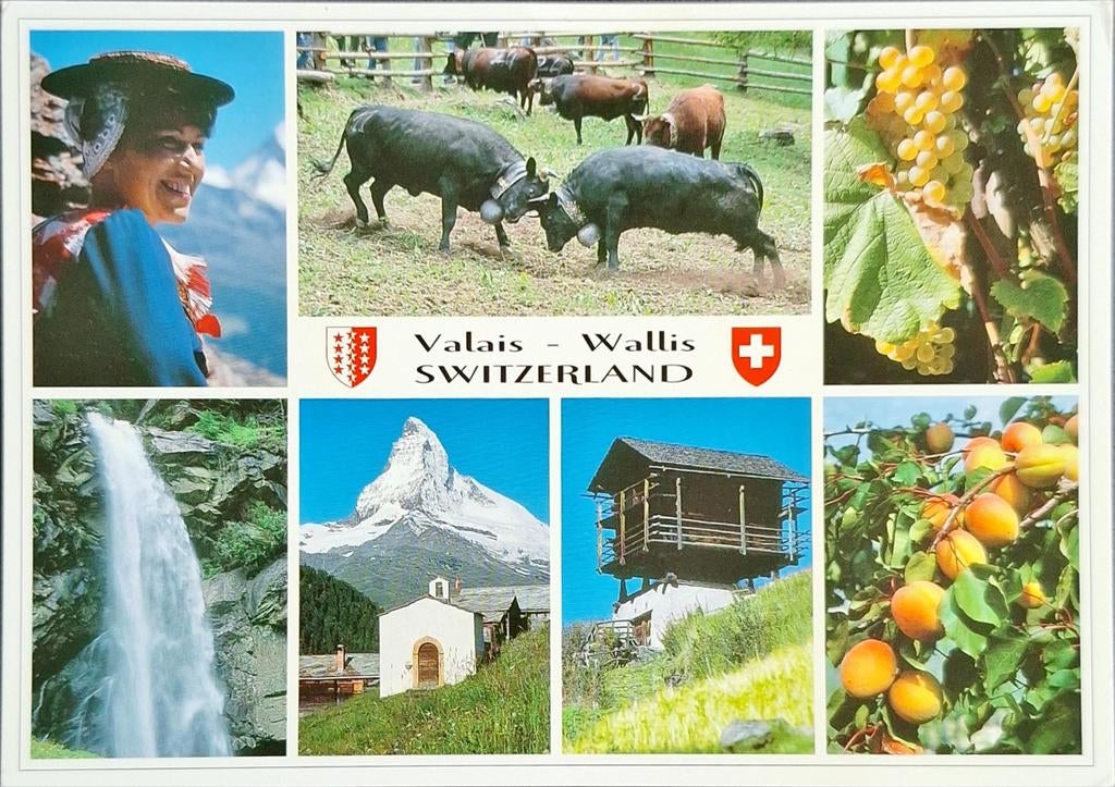 Wallis Zwitserland, Ophalen of Verzenden, Gelopen, Overig Europa