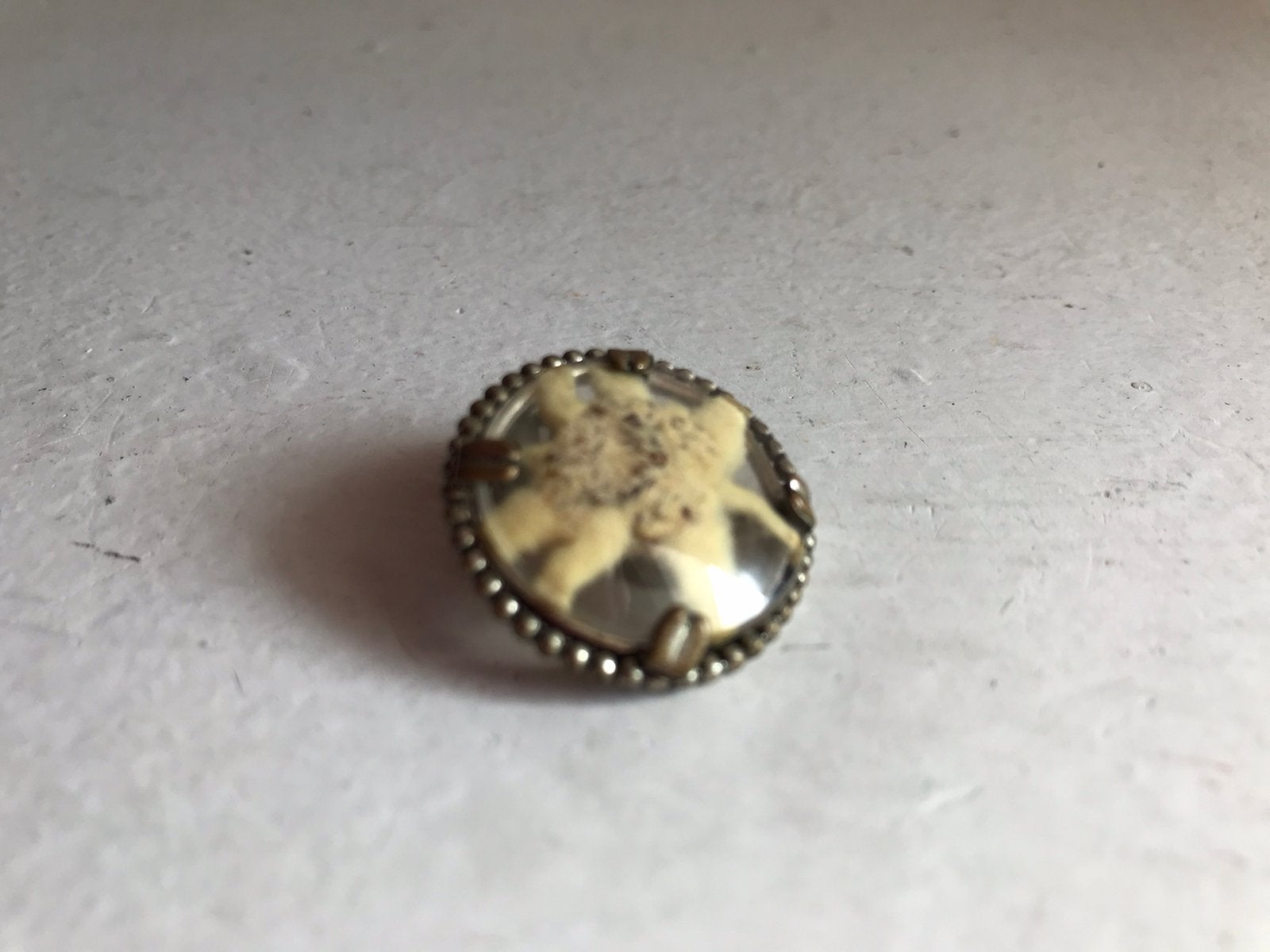 Clip met Edelweiss, Antiek en Kunst, Ophalen of Verzenden