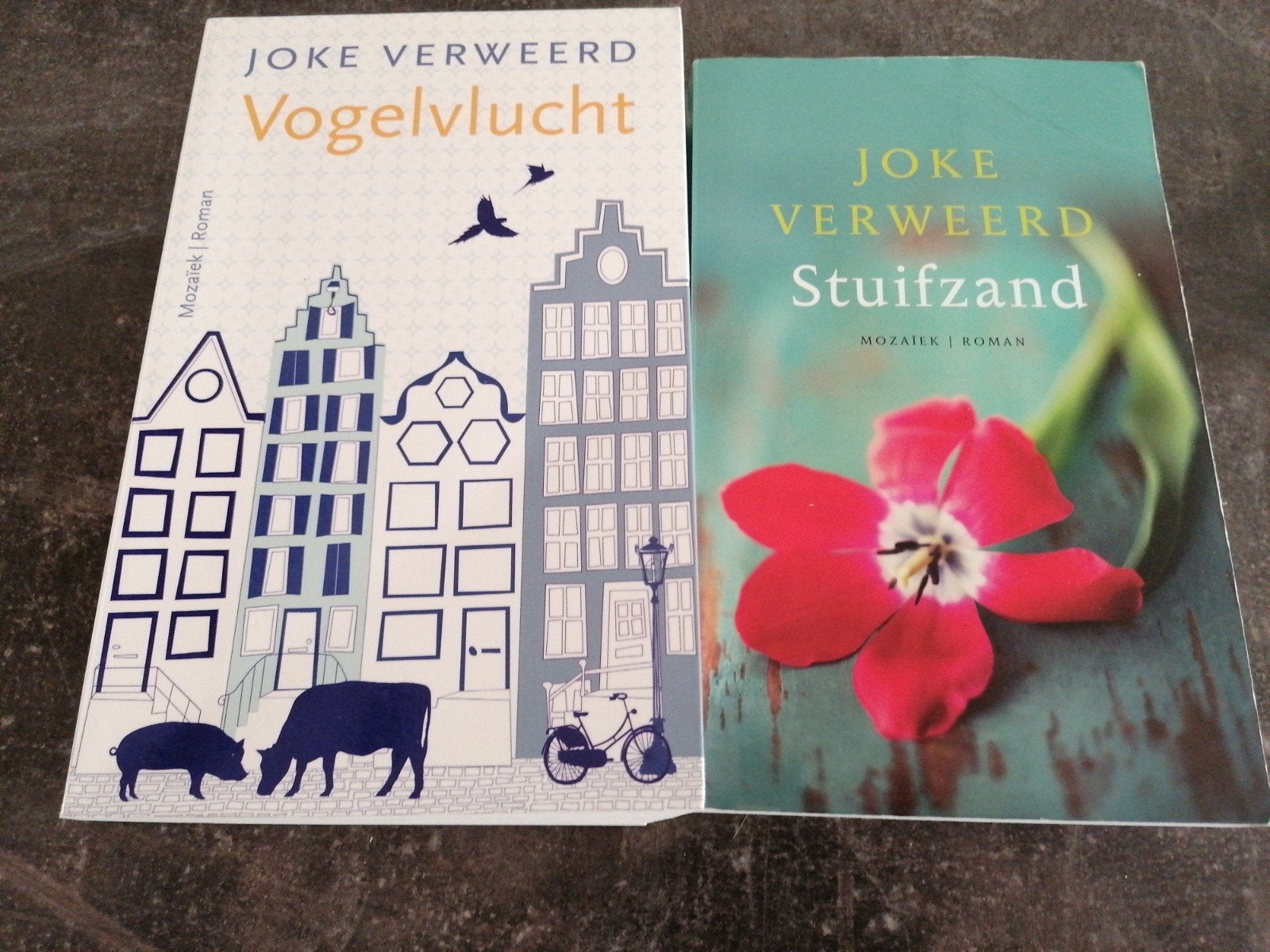 2x Joke Verweerd - Stuifzand en Vogelvlucht, Ophalen of Verzenden, Gelezen, Joke Verweerd, Nederland