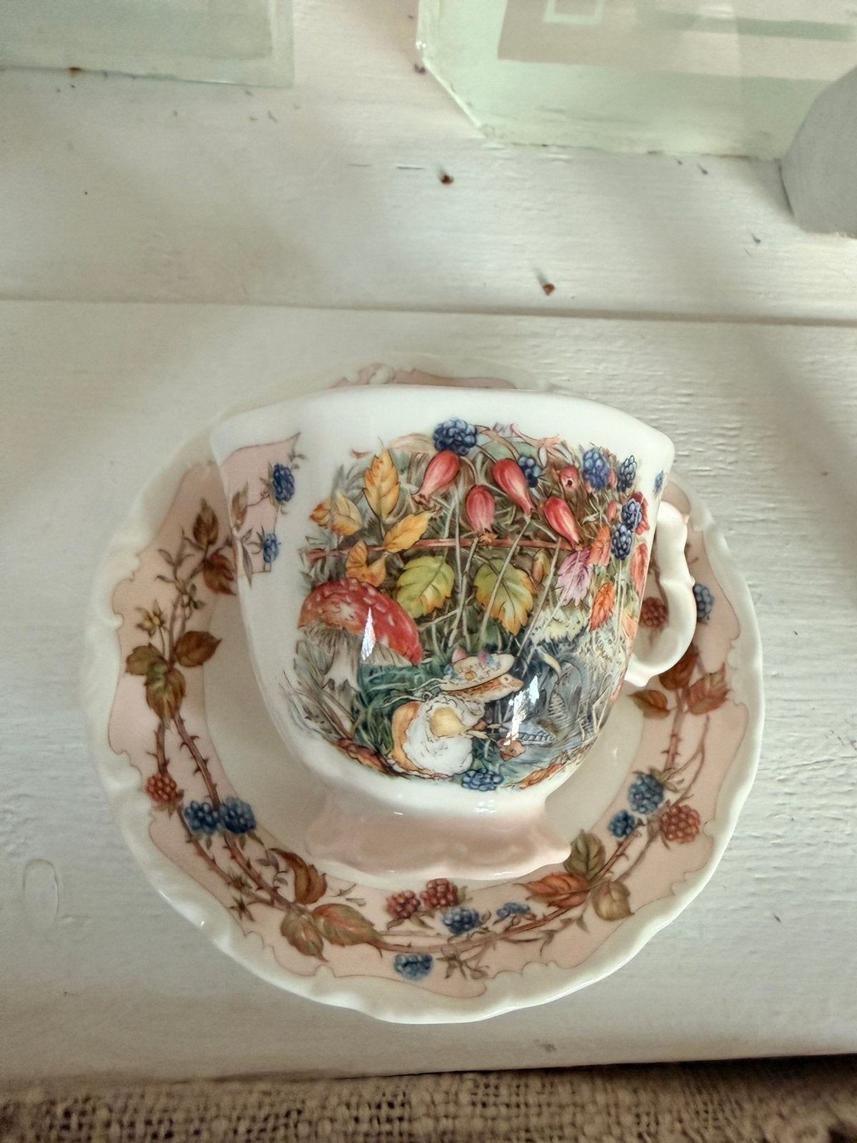 Brambly Hedge Autumn kop en schotel puntgaaf, Ophalen, Zo goed als nieuw, Porselein, Kop en/of schotel