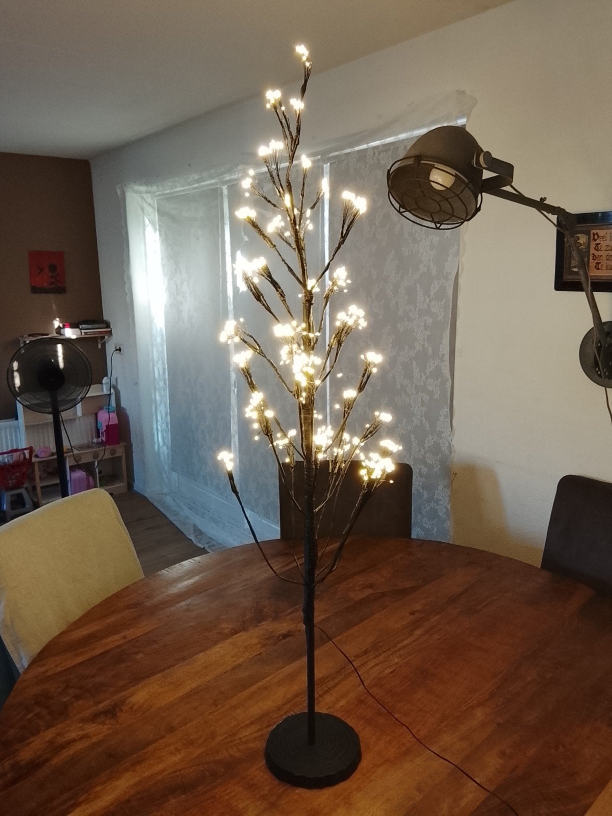 Sfeervol Boompje met LED Verlichting - Nieuw, Meerkleurig, Onbekend, Nieuw, Ophalen of Verzenden