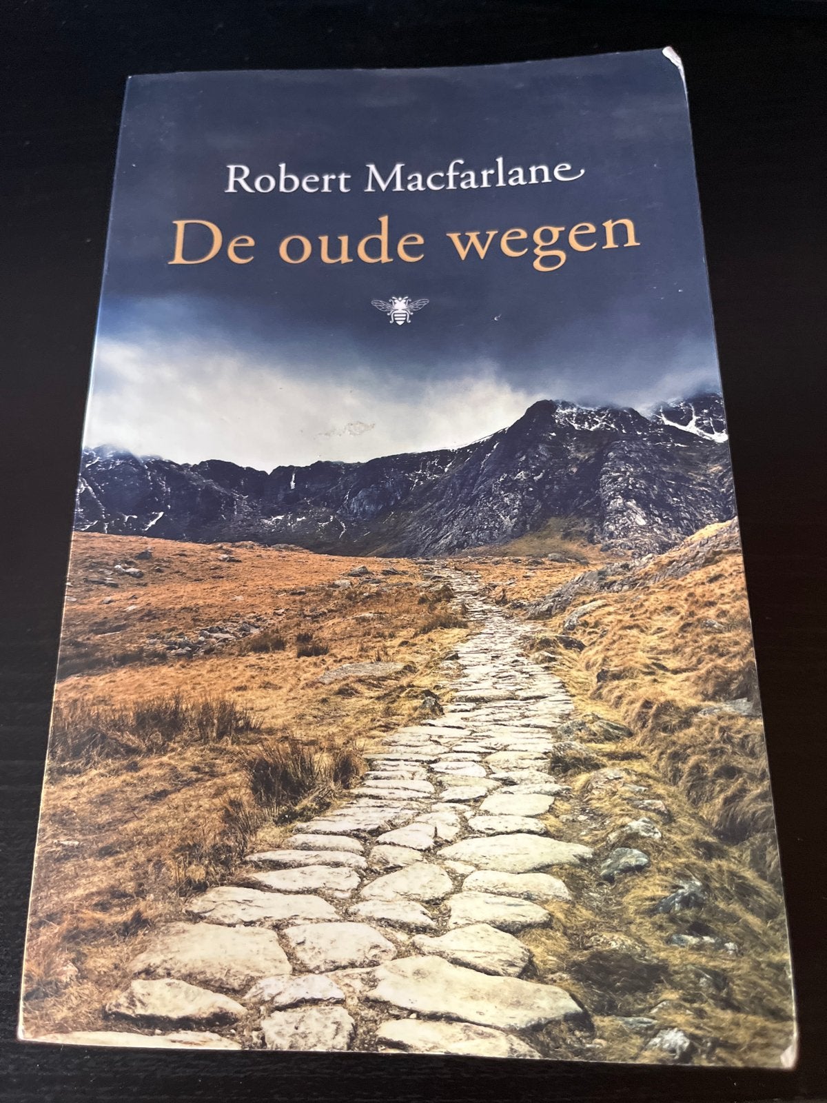 De oude wegen - Robert Macfarlane (prima staat), Boeken, Ophalen of Verzenden, Zo goed als nieuw