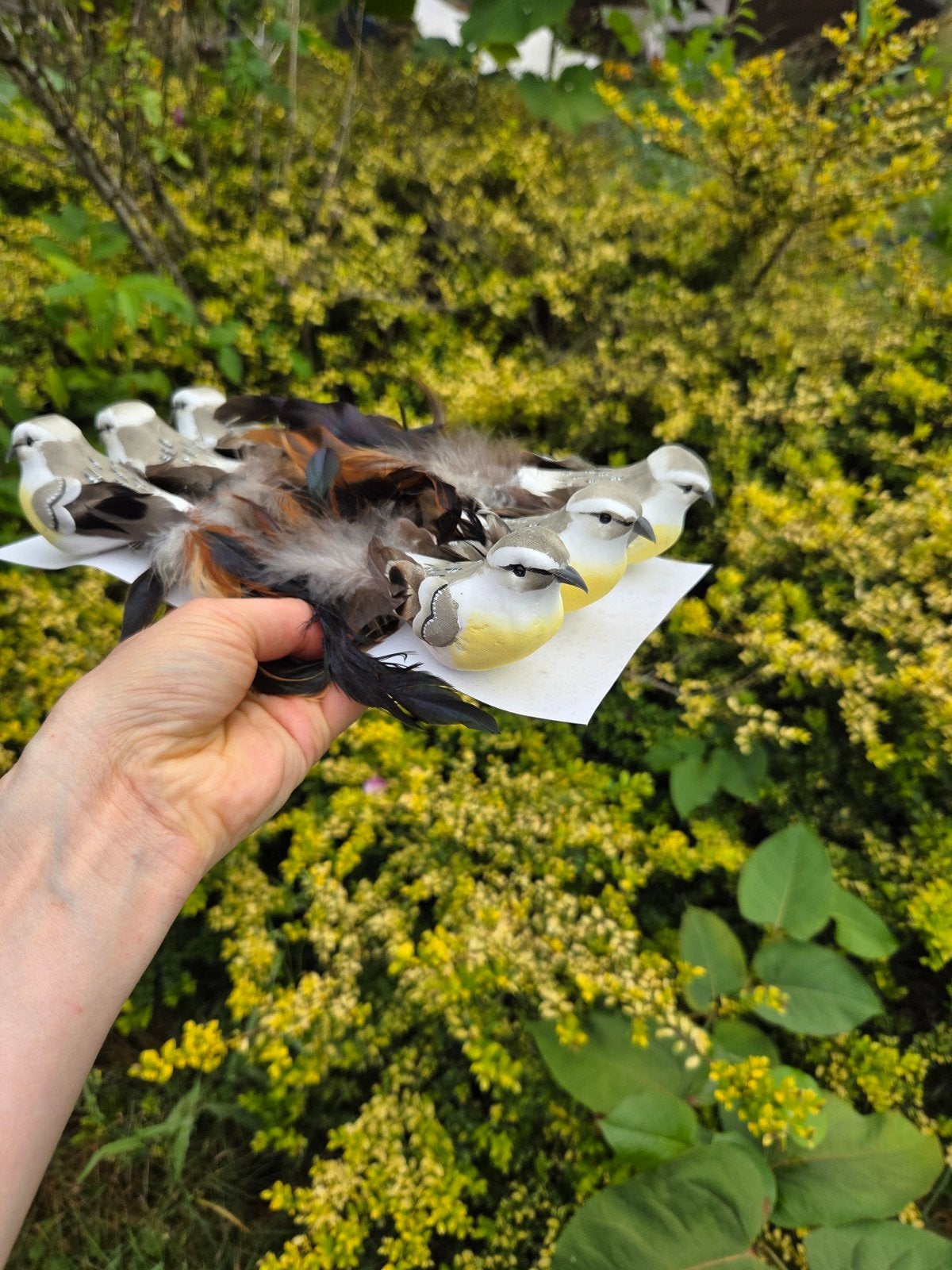 Set van 6 decoratieve vogels voor knutselprojecten, Verzenden