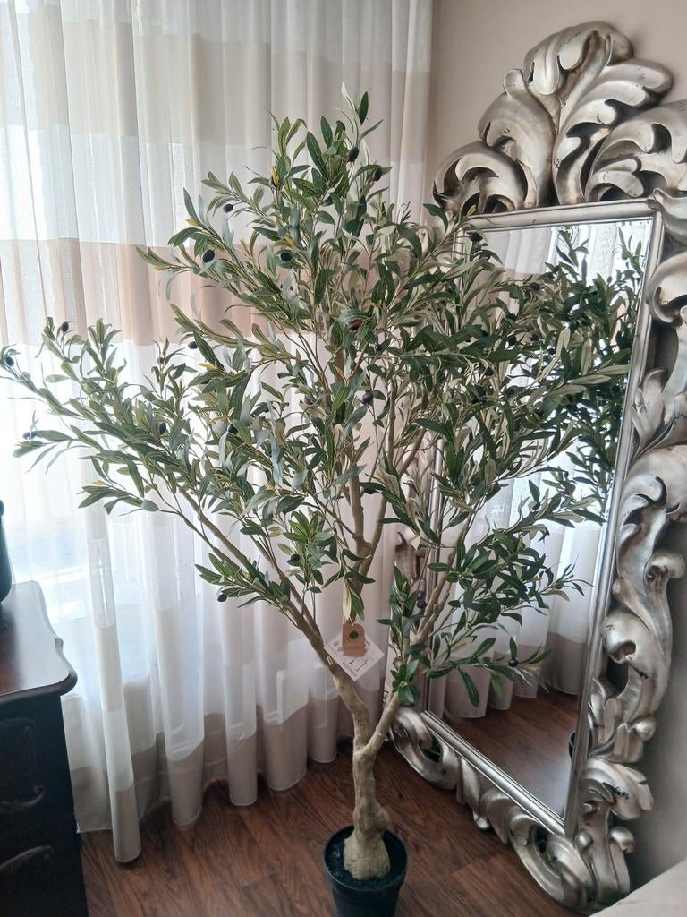 Kunst Olijfboom - 180 cm, 180 cm, Groen, Onderhoudsvrij, Kunstplant