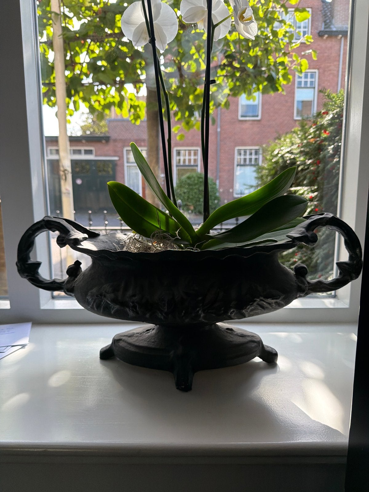 Antieke gietijzeren plantenbak / bloempot, Ophalen