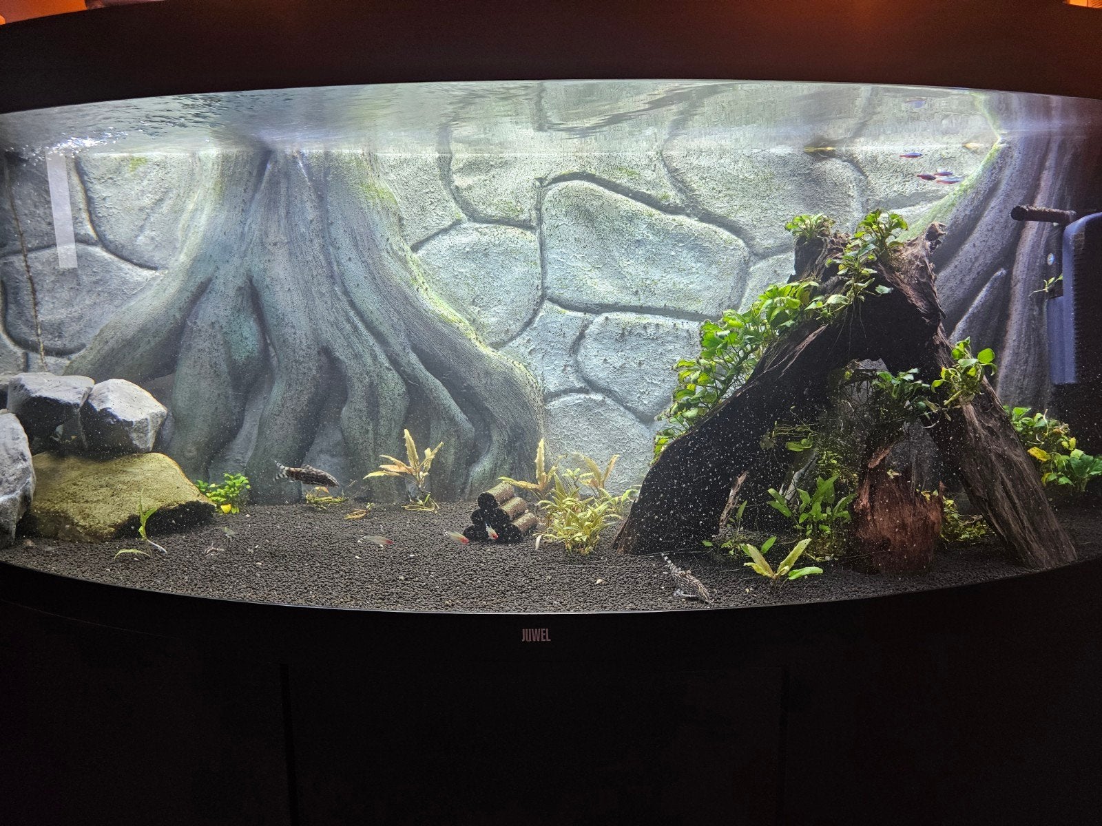 Jewel rio vision 450 zwart met custom achterwand!!, Ophalen, Pomp, Juwel, Gevuld zoetwateraquarium