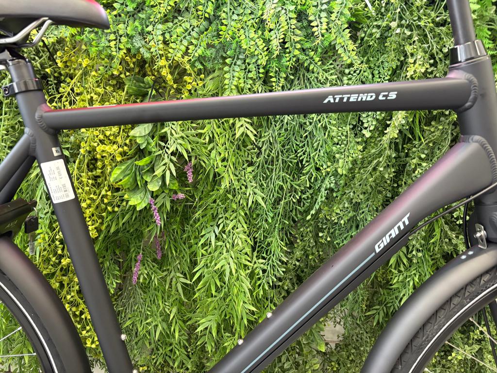 NIEUW Giant Attend CS XL – Voorjaarsactie €549,99, Pascallaan 66, 8218 NJ Lelystad, Versnellingen, Nieuw, Info@giant-europe.com