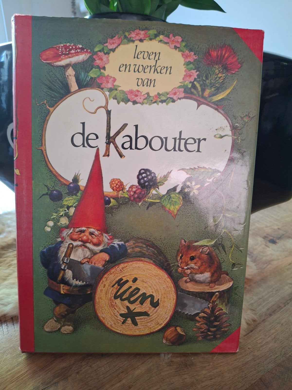 Leven en werken van de Kabouter - Rien Poortvliet, Ophalen of Verzenden