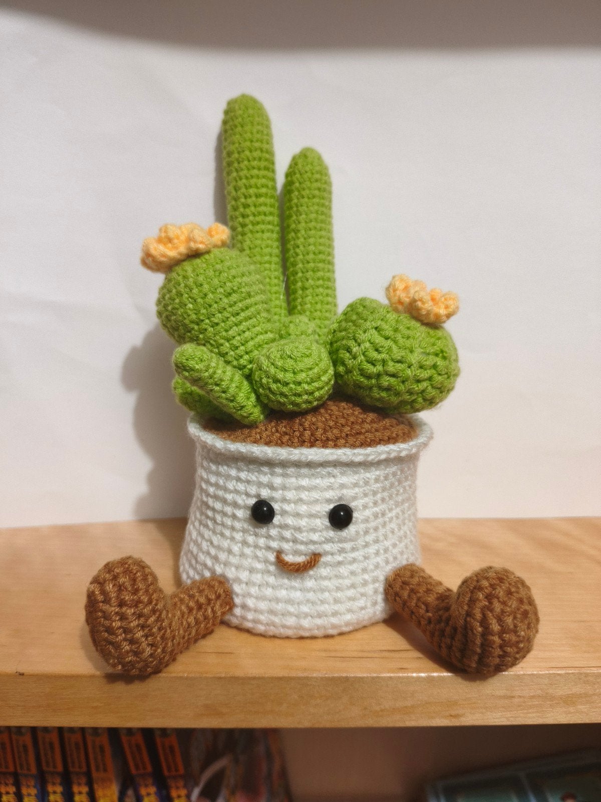 Gehaakte Cactus in Bloempot | Handgemaakt | Woondecoratie, Binnen, Kunstplant, Nieuw, Ophalen of Verzenden