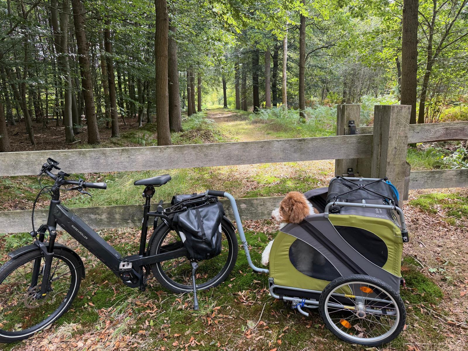 Hondenfietskar Doggyride Novel, Overige merken, Opvouwbaar, Ophalen of Verzenden, 1 kind