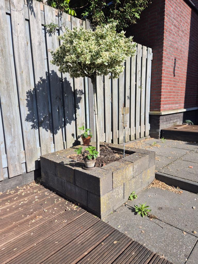 Border stenen, Tuin en Terras, Ophalen, Rond, Steen, Minder dan 30 cm