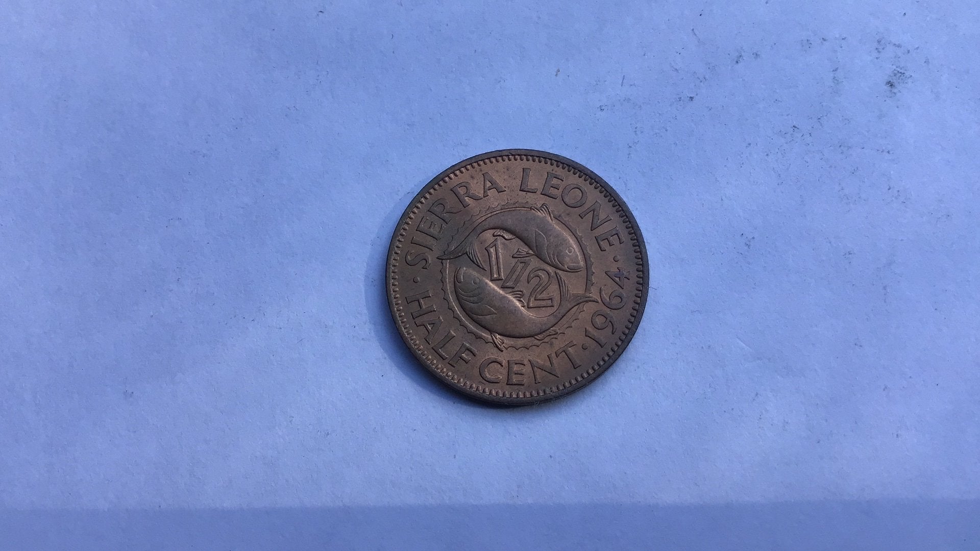 Sierra Leone 1/2 cent 1964., Ophalen of Verzenden, Overige landen