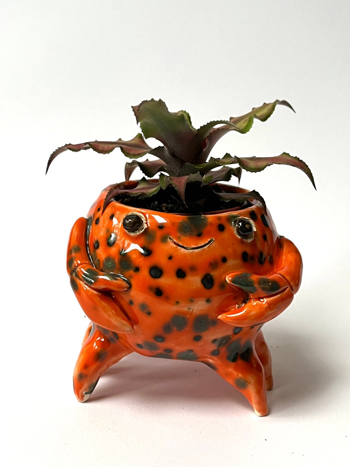 Bloempotje krabbetje, Nieuw, Ophalen of Verzenden, Steen/keramiek, Oranje