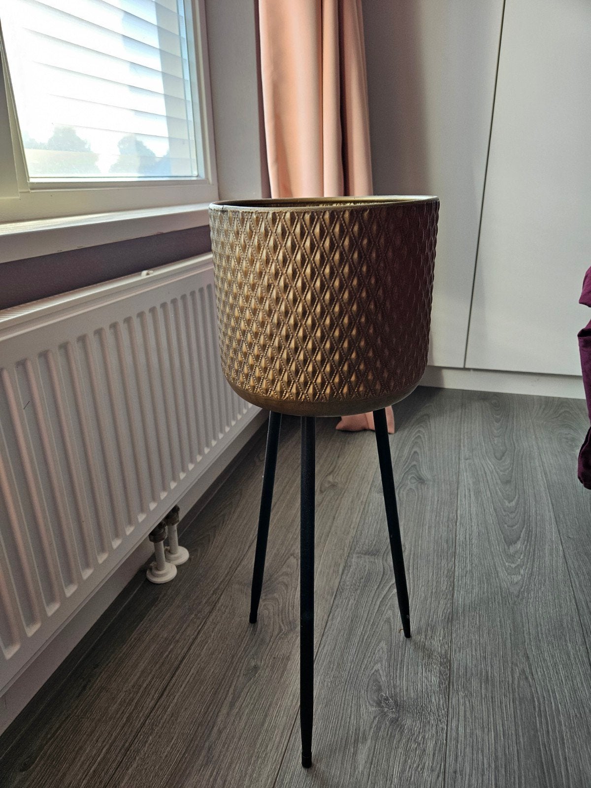 planten standaard, Ophalen