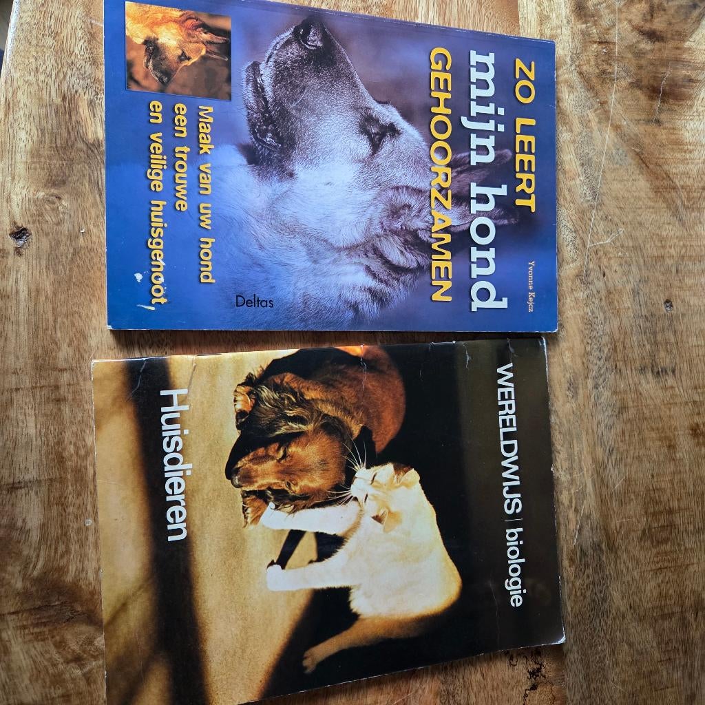 Boek zo leert mijn hond gehoorzamen, Ophalen of Verzenden, Gelezen, Honden, Yvonne Kejcz