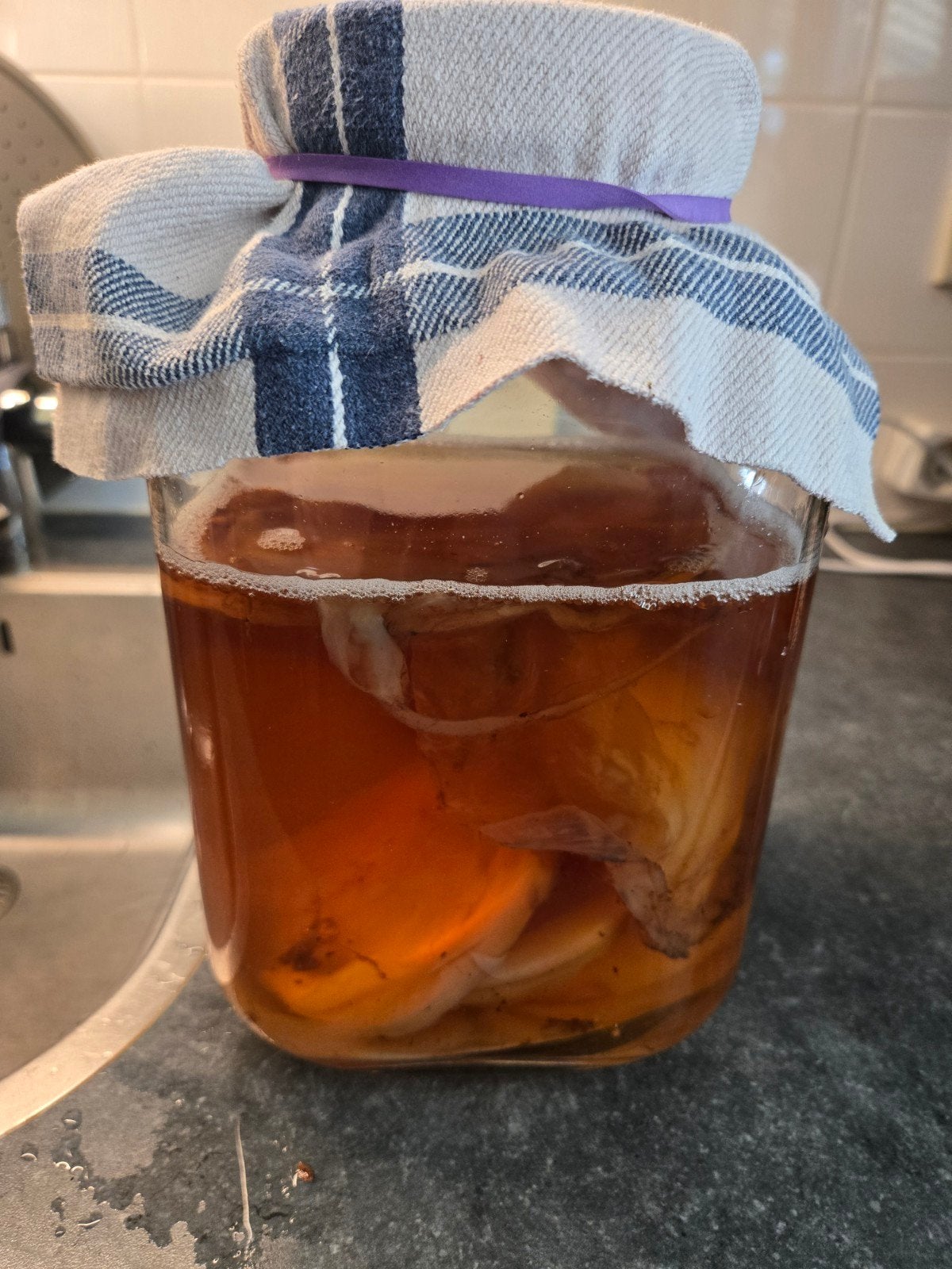 Scoby en kombucha startvloeistof, Diversen, Ophalen