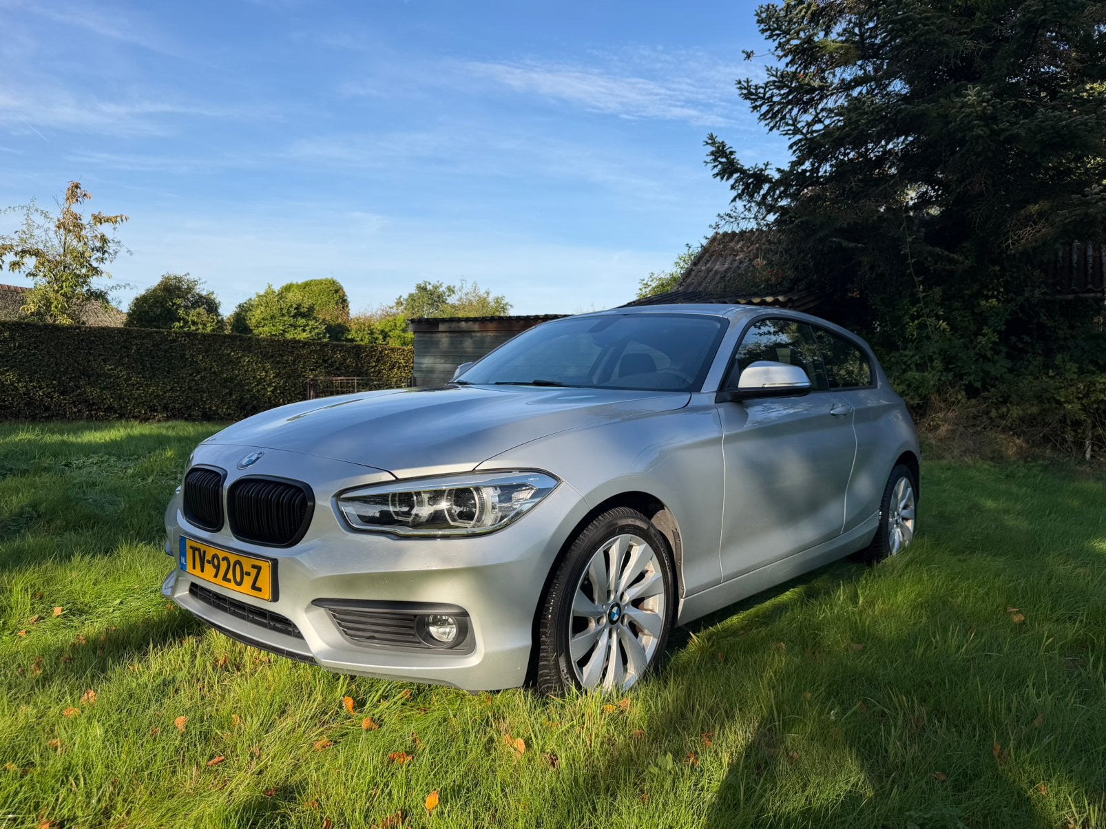 BMW 1-Serie 116i Executive 109pk 2018 Grijs, Auto's, 1-Serie, 108 pk, 3 cilinders, Zilver of Grijs