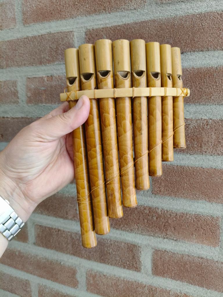 Nieuw!  Panfluit, Muziek en Instrumenten, Blaasinstrumenten | Overige, Ophalen, Nieuw