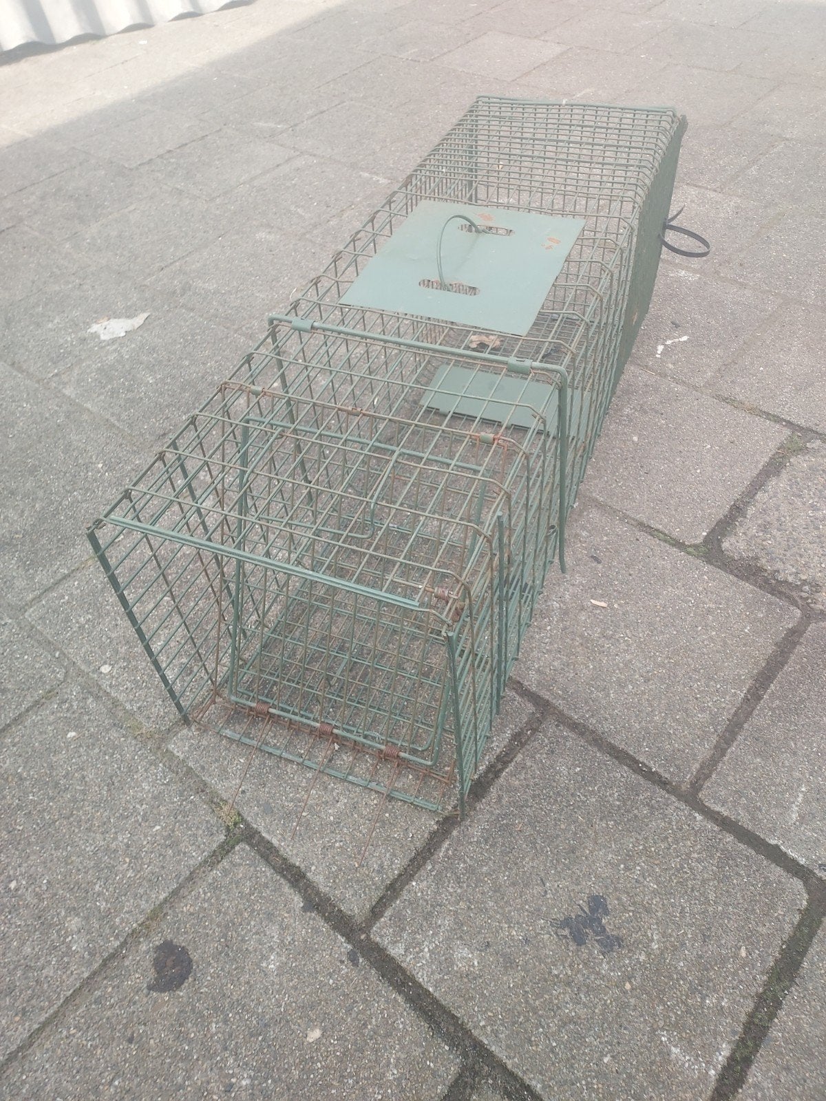 Ratten vangkooi, Ophalen