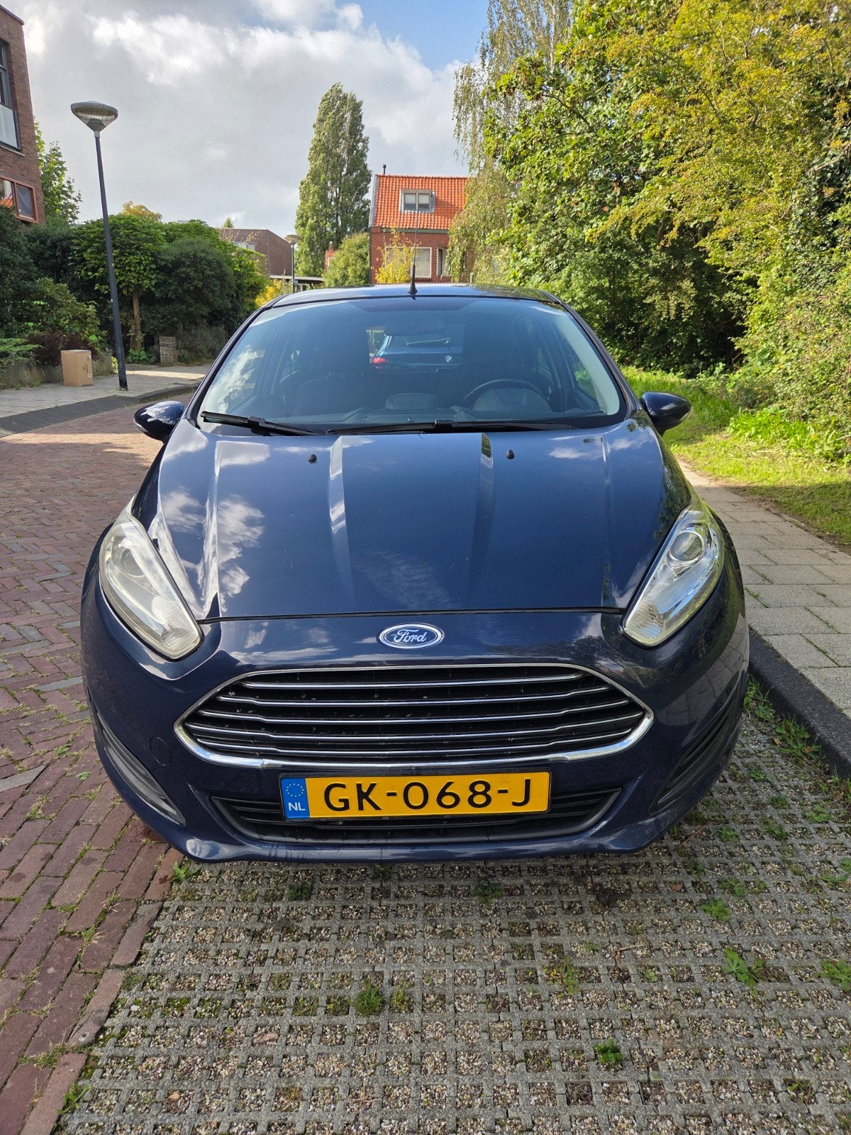 Ford Fiësta 1.0 48KW/65PK 5D 2015 Blauw, 40 €/maand, 525 kg, Blauw, 23 km/l